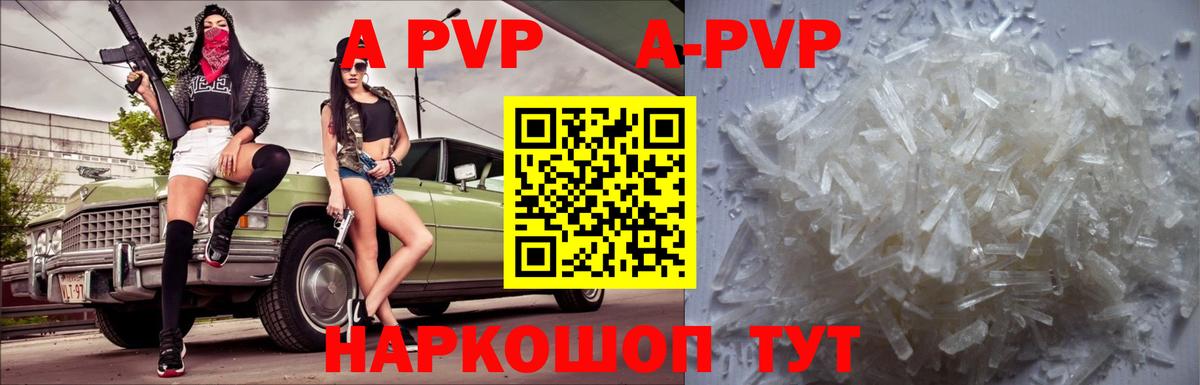 Alfa_PVP VHQ  Альфа ПВП  что такое   Заволжье  А ПВП СК КРИС  Вход с VPN 