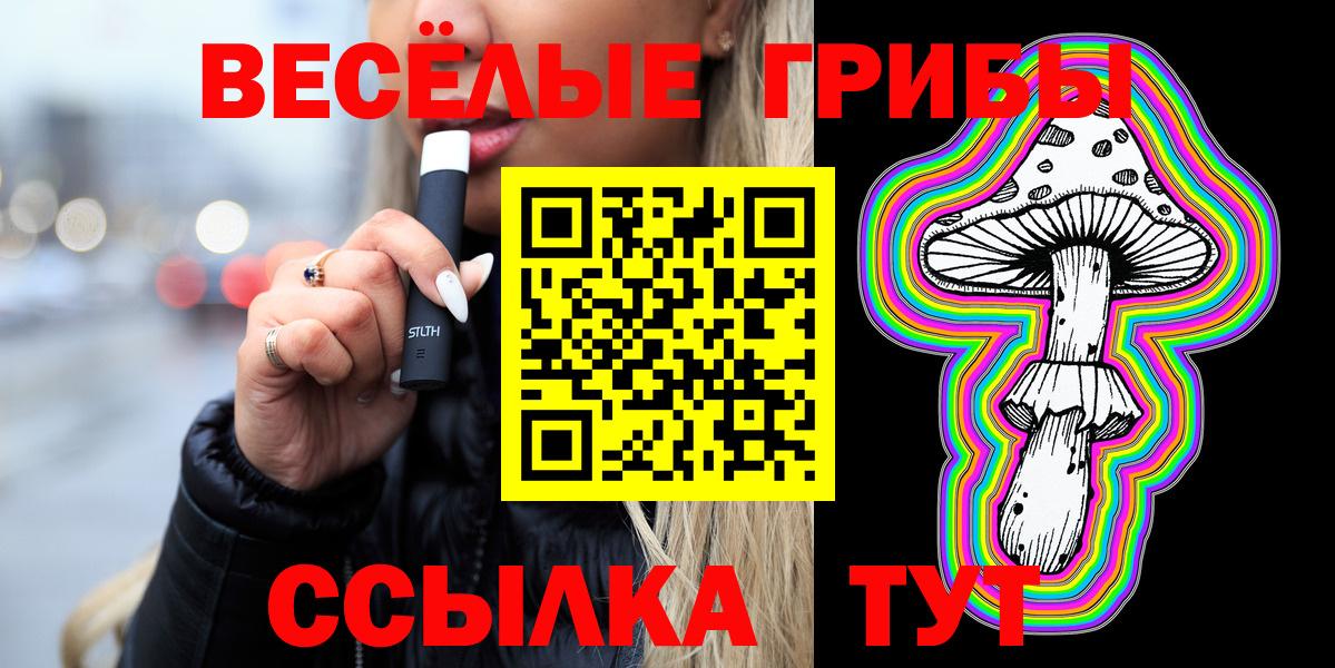Псилоцибиновые грибы Cubensis Заволжье
