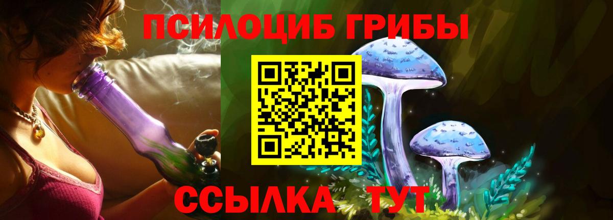 Галлюциногенные грибы Magic Shrooms  Галлюциногенные грибы мухоморы  Заволжье 