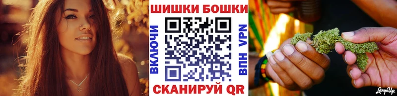 Каннабис OG Kush  Заволжье 